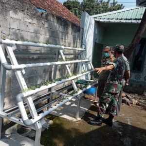 Serda Riyanto Babinsa Koramil 14/Klego memanfaatkan lahan kosong, tanam sayuran hidroponik.