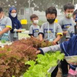 SD Muhammadiyah PK Kottabarat Kenalkan Potensi Agrobisnis Sejak Dini.