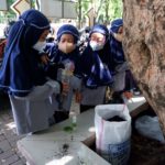Dukung Sekolah Sirkular, Sains Klub SD Muh PK Kottabarat Tanam Cabai dengan Teknik Upside Down