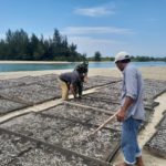 Lakukan Komsos, Serka Yusmanto Sambangi Pengolahan Ikan Asin Desa Kuala Bugak