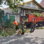 Demi Keselamatan Warga, Babinsa Kelurahan Gilingan Turut Serta Pemangkasan Ranting Pohon