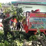 Peran Aktif babinsa Kestalan Pada Pemangkasan Pohon Rawan Tumbang di Wilayah Binaan