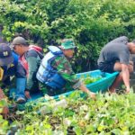 Kodim 0735/Surakarta Gelar Karya Bakti Pembersihan Saluran Air di Bendung Gerak Tirtonadi