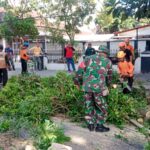 Waspadai Cuaca Hujan Dan Angin Kencang, Babinsa Penumping Bersama DLH Dan Masyarakat Gotong Royong Tebang Pohon