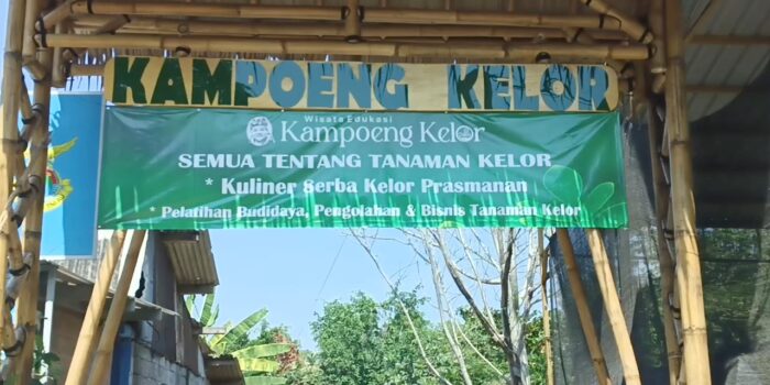 Kampoeng Kelor Adi Soemarmo, Aki Pangebon Kelor : Inspirasi Memakmurkan Bumi dengan Cara yang Mudah dan Murah.