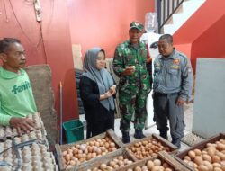 Antisipasi Lonjakan Harga Bahan Pokok, Babinsa Tipes Sidak Gudang Telur Ayam