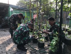 Dukung Swasembada Pangan, Danramil 04/Jebres Bersama Anggotanya Tanam Bibit Buah Dan Tanaman Herbal