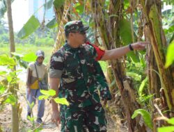 Dansatgas TMMD Reguler Ke-125 Kodim 0735/Surakarta Tinjau Kesiapan Lahan Ketahanan Pangan di Lokasi TMMD