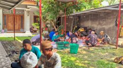 Perkuat Rasa Bersyukur Idhul Adha 1447 H/ 2026 M Yayasan Pondok Pesantren Haqqul Amin Kartasura Gelar Penyembelihan Hewan Qurban. 2 IMG 20260528 101519