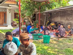 Perkuat Rasa Bersyukur Idhul Adha 1447 H/ 2026 M Yayasan Pondok Pesantren Haqqul Amin Kartasura Gelar Penyembelihan Hewan Qurban.