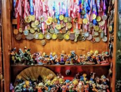 SELAYANG PANDANG MUSEUM (GALERl) SENI BELADIRI KUNGFU WONOSOBO