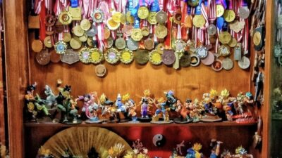 SELAYANG PANDANG MUSEUM (GALERl) SENI BELADIRI KUNGFU WONOSOBO