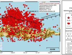 Update Gempa Flores: 3.002 Gempa Susulan, Aktivitas Mulai Menurun